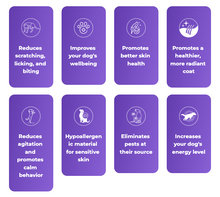 Load image into Gallery viewer, Essential Oil Pet Collar (3 Pack)